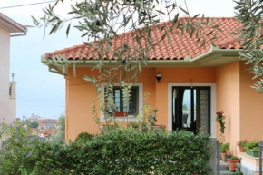 View House  Агрия